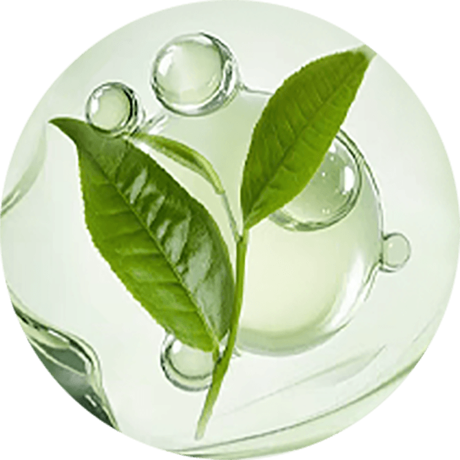 Skin-Refresh Tea